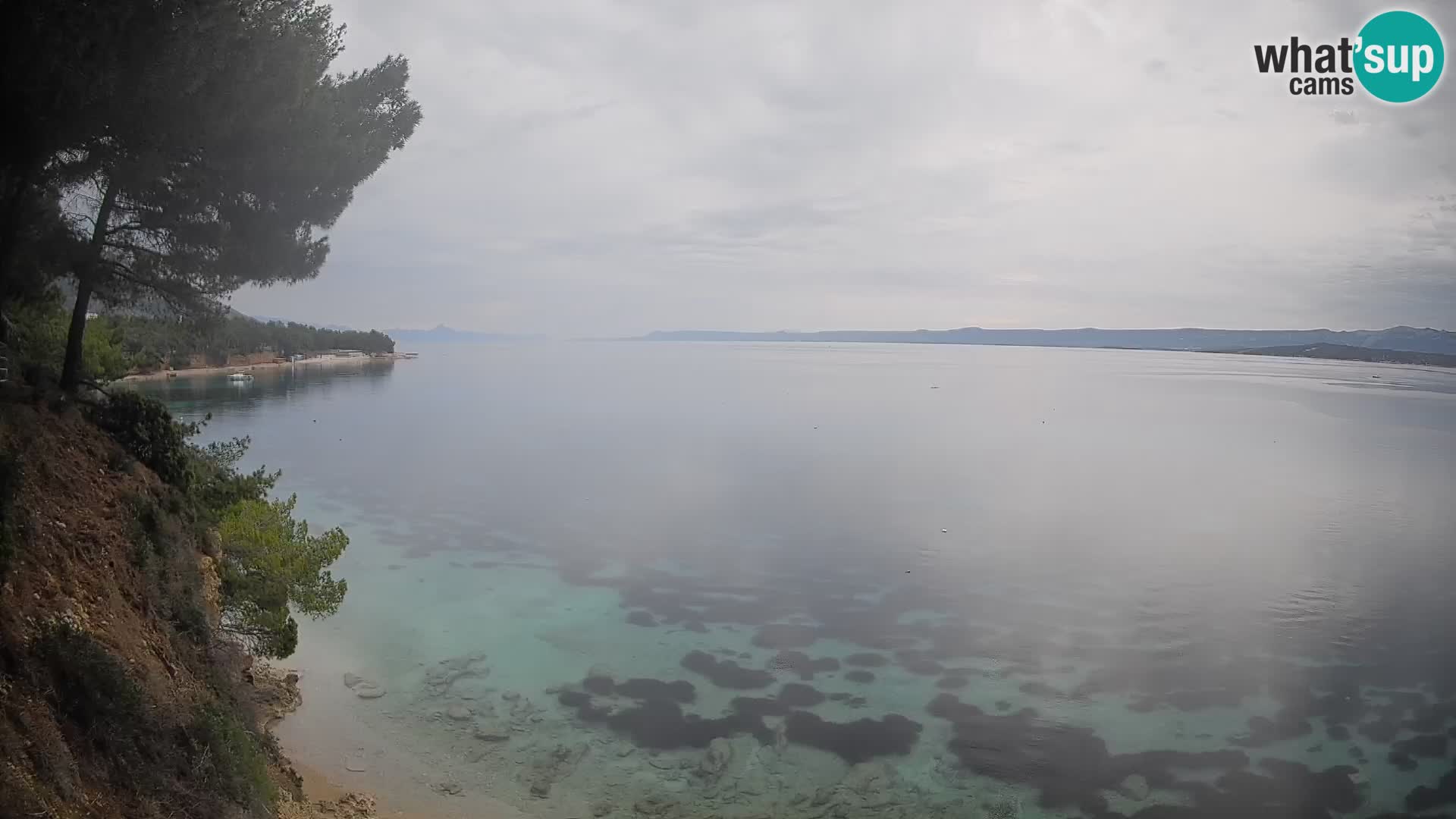 Webcam Potočine Beach Bol – Live View of Borak Beach, Brač Island