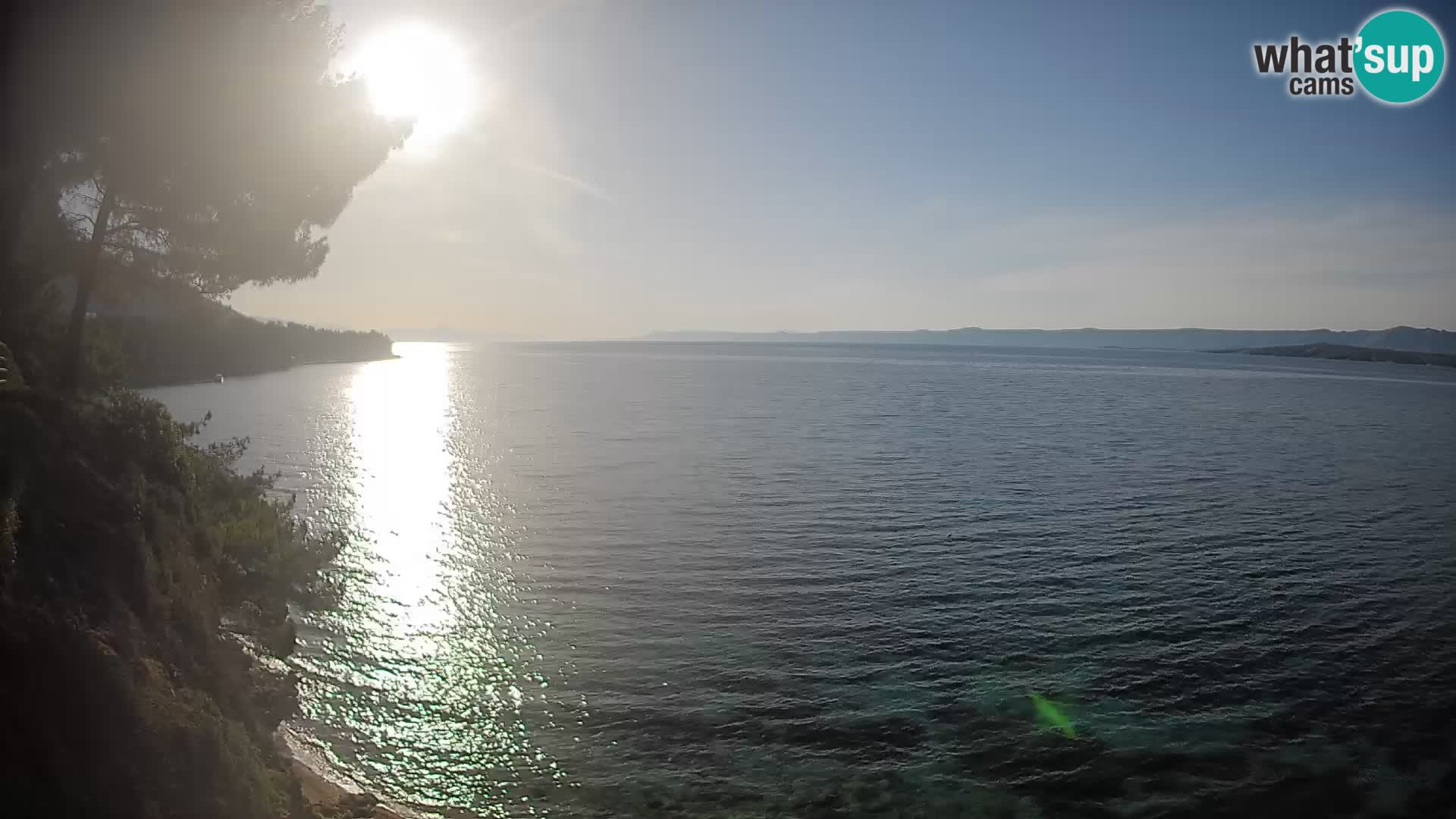 Webcam Playa Potočine Bol – Vista en vivo de Borak Beach, Isla de Brač