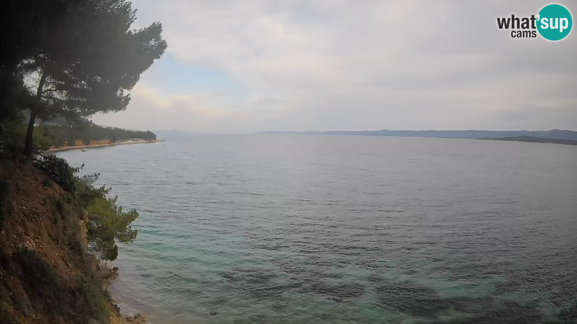 Webcam Potočine Beach Bol – Live View of Borak Beach, Brač Island