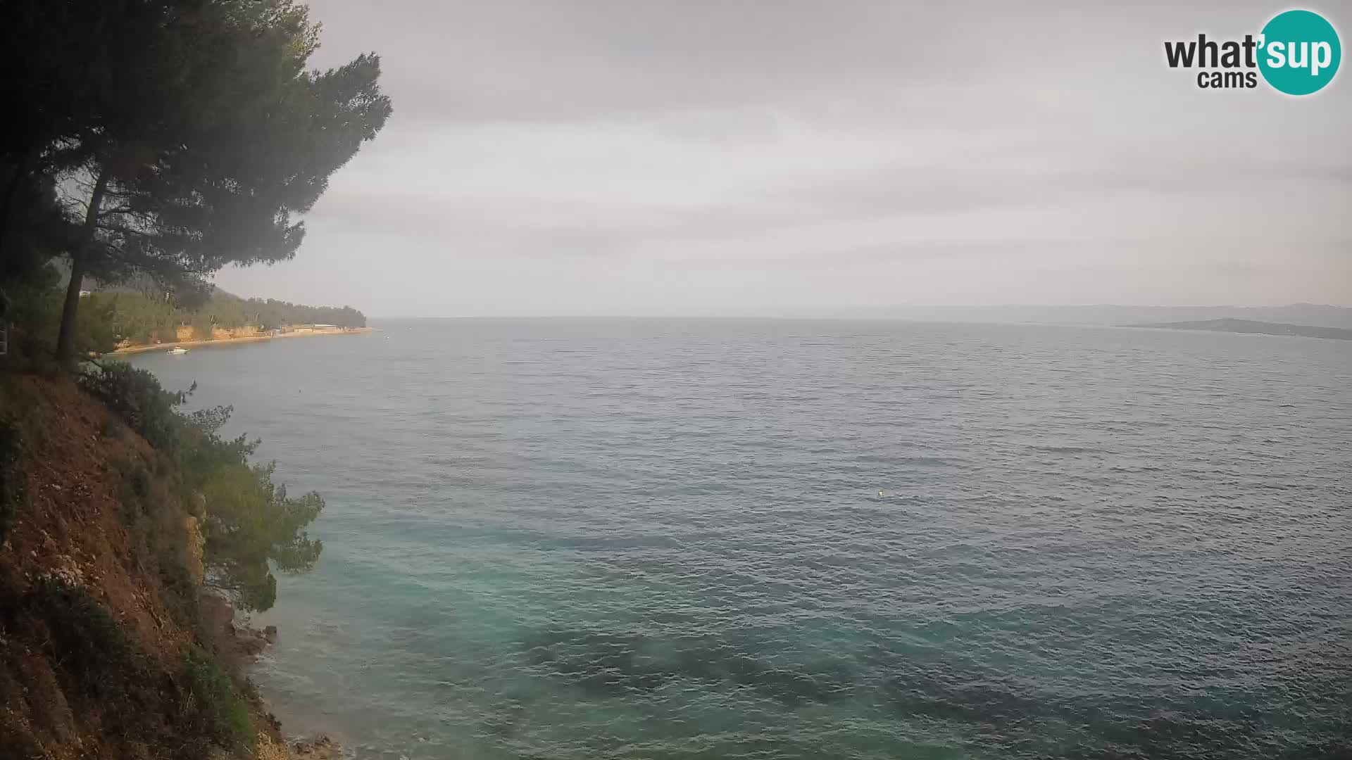 Webcam Potočine Beach Bol – Live View of Borak Beach, Brač Island