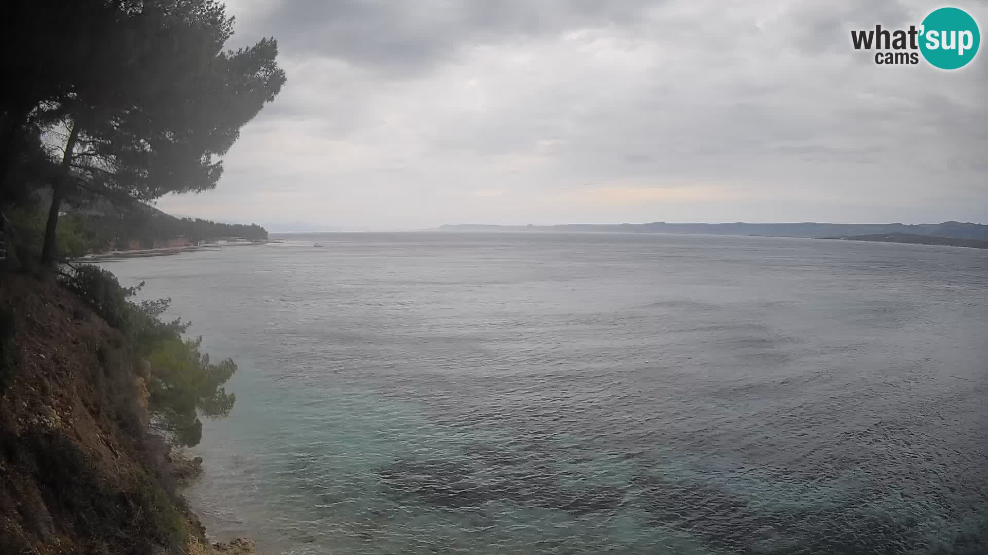 Webcam Potočine Beach Bol – Live View of Borak Beach, Brač Island