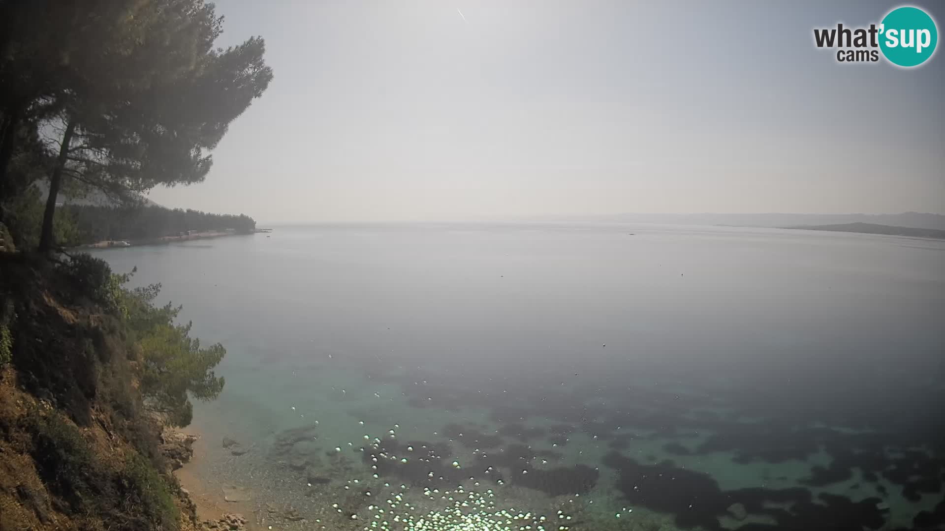Webcam plage Potočine Bol – Vue en direct sur Borak Beach, île de Brač