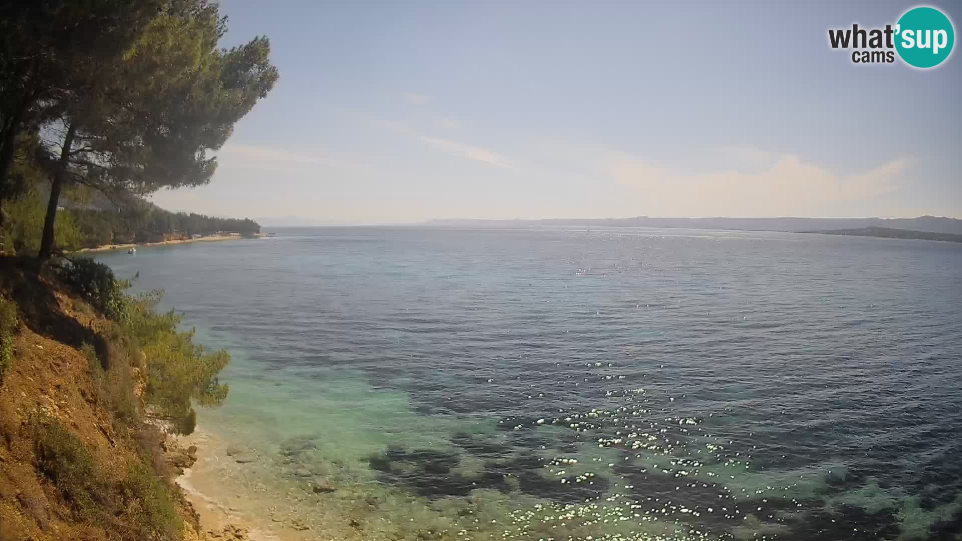Webcam Spiaggia Potočine Bol – Vista live sulla spiaggia Borak, Isola di Brač