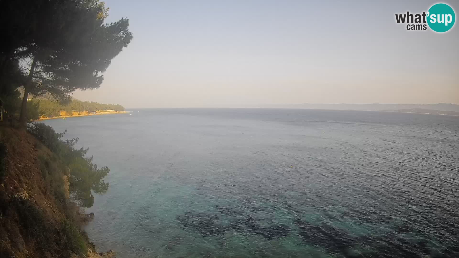 Webcam Potočine Beach Bol – Live View of Borak Beach, Brač Island