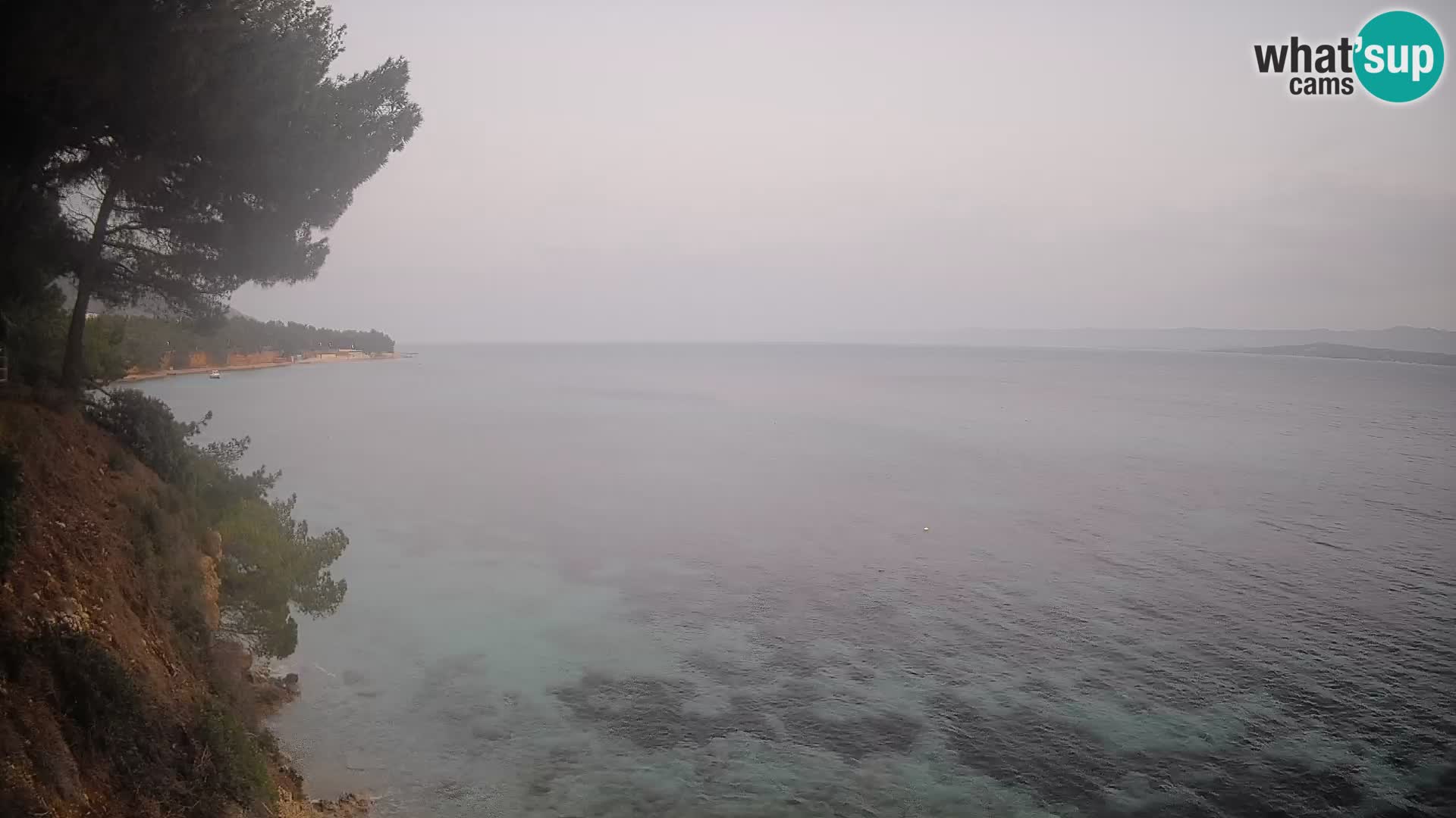 Webcam Potočine Beach Bol – Live View of Borak Beach, Brač Island