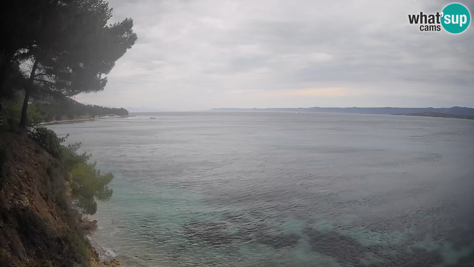 Webcam Playa Potočine Bol – Vista en vivo de Borak Beach, Isla de Brač