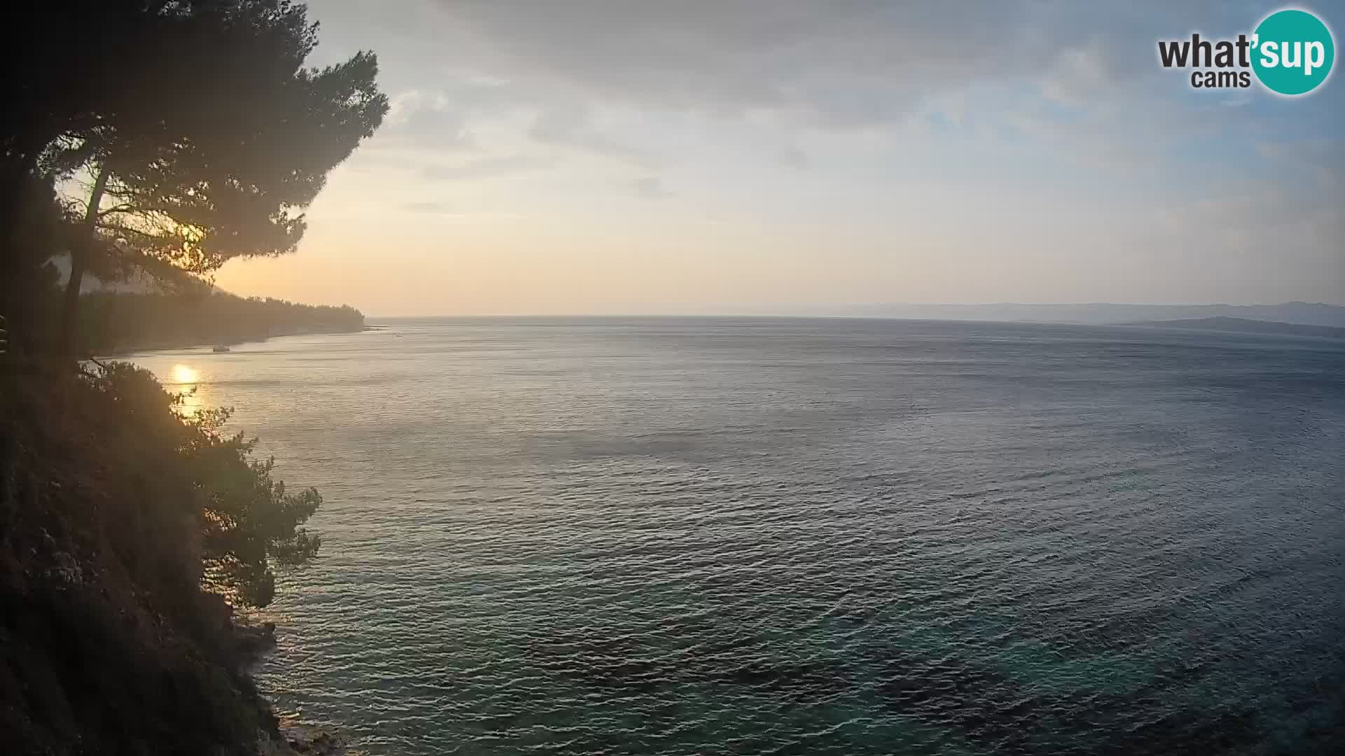 Webcam Spiaggia Potočine Bol – Vista live sulla spiaggia Borak, Isola di Brač