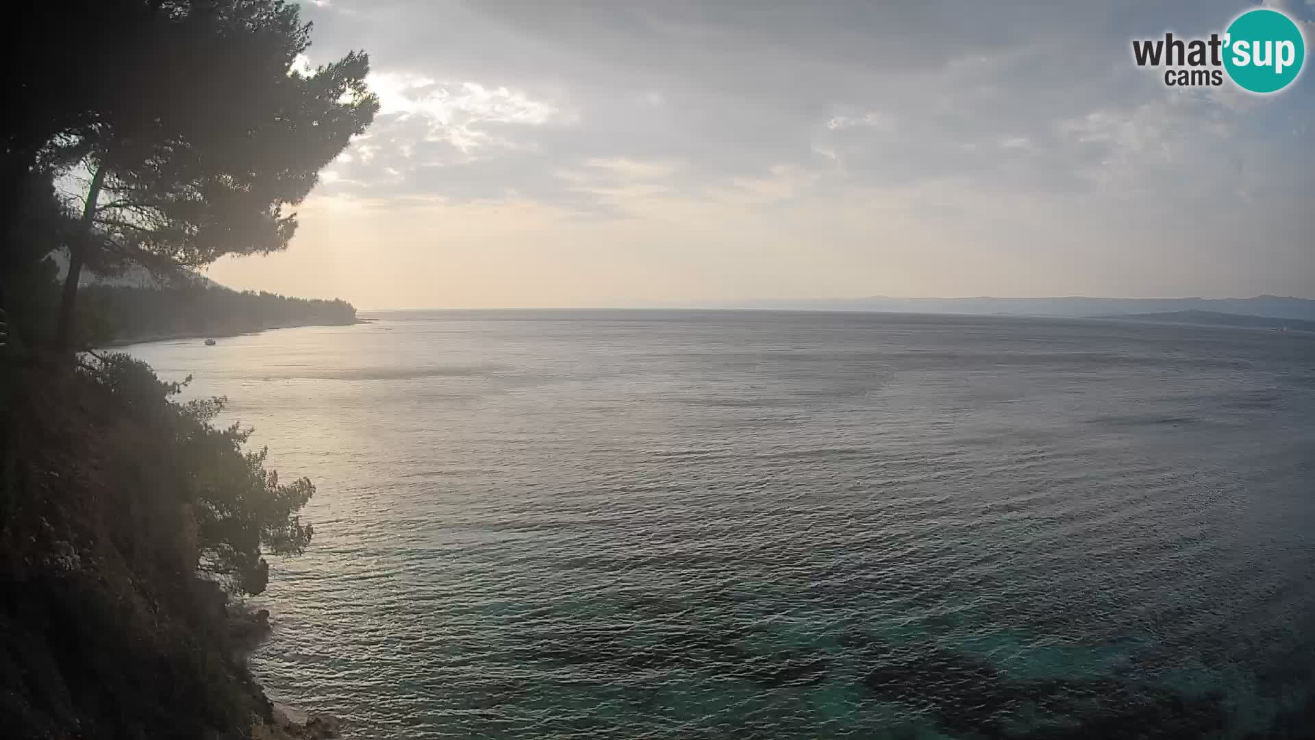 Webcam Playa Potočine Bol – Vista en vivo de Borak Beach, Isla de Brač