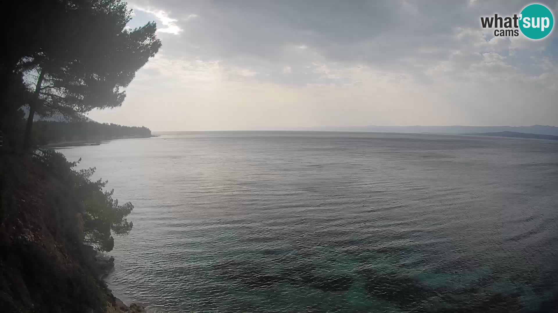 Webcam Playa Potočine Bol – Vista en vivo de Borak Beach, Isla de Brač