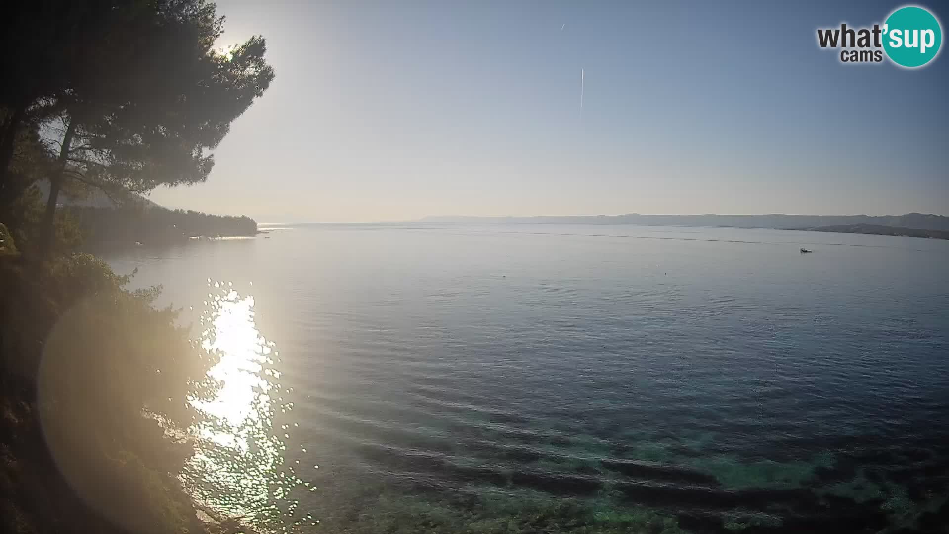 Webcam Potočine Beach Bol – Live View of Borak Beach, Brač Island