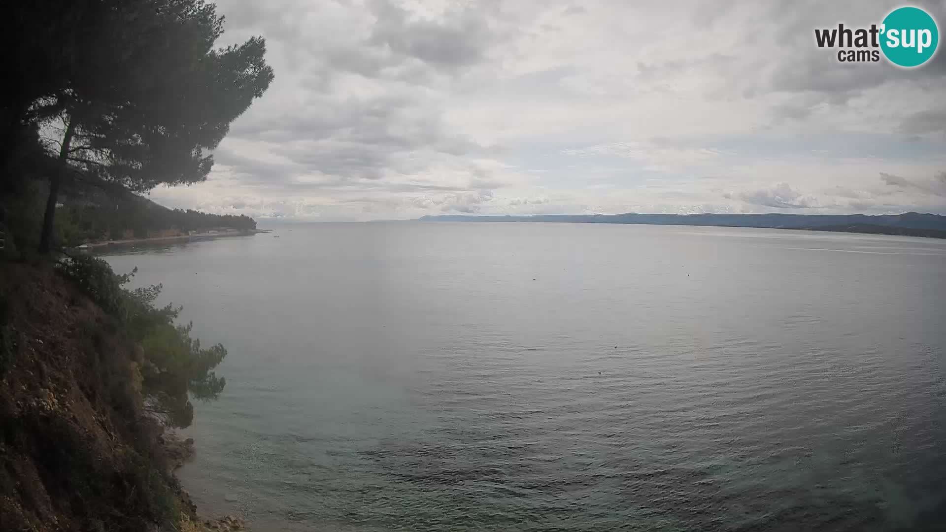 Webcam Potočine Beach Bol – Live View of Borak Beach, Brač Island