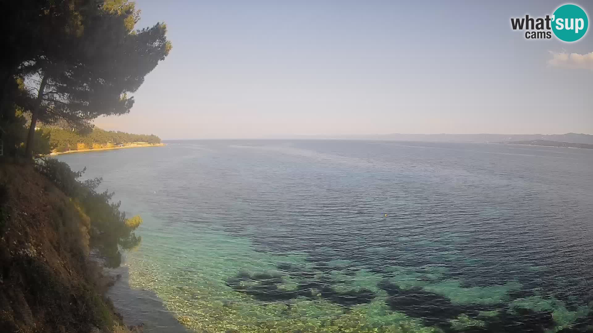 Webcam Playa Potočine Bol – Vista en vivo de Borak Beach, Isla de Brač