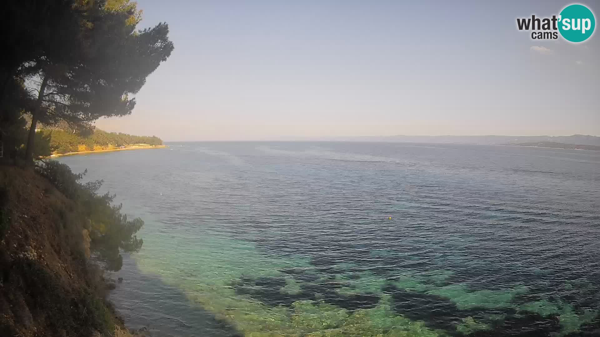 Webcam Potočine Beach Bol – Live View of Borak Beach, Brač Island