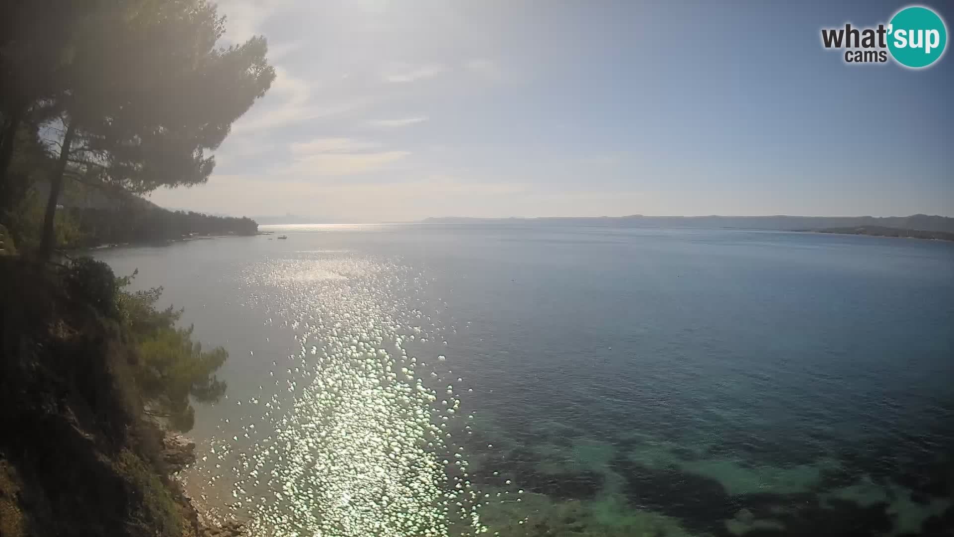 Webcam Potočine Beach Bol – Live View of Borak Beach, Brač Island
