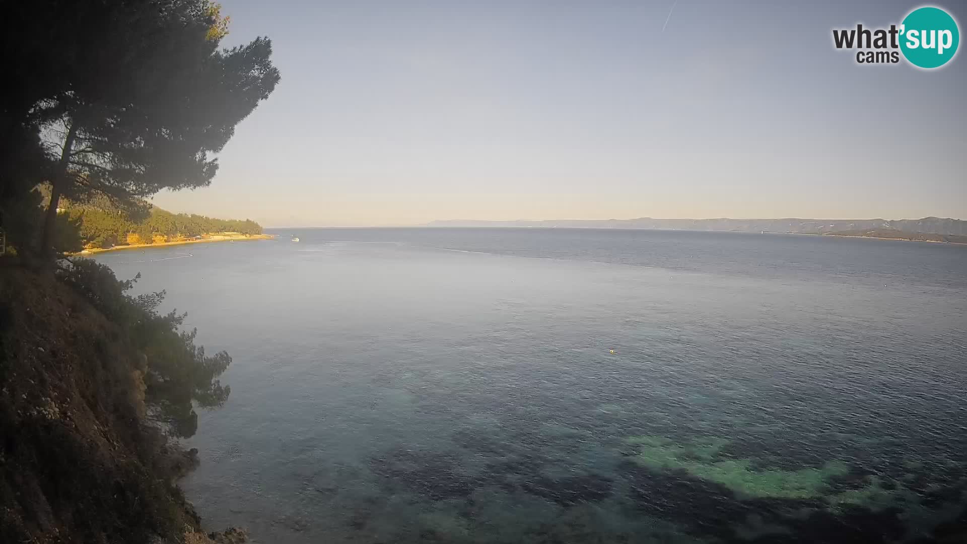 Webcam Playa Potočine Bol – Vista en vivo de Borak Beach, Isla de Brač