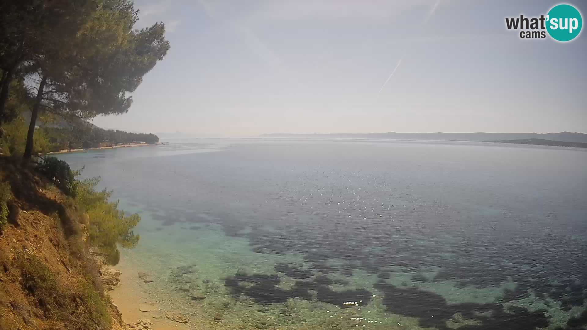 Webcam plage Potočine Bol – Vue en direct sur Borak Beach, île de Brač