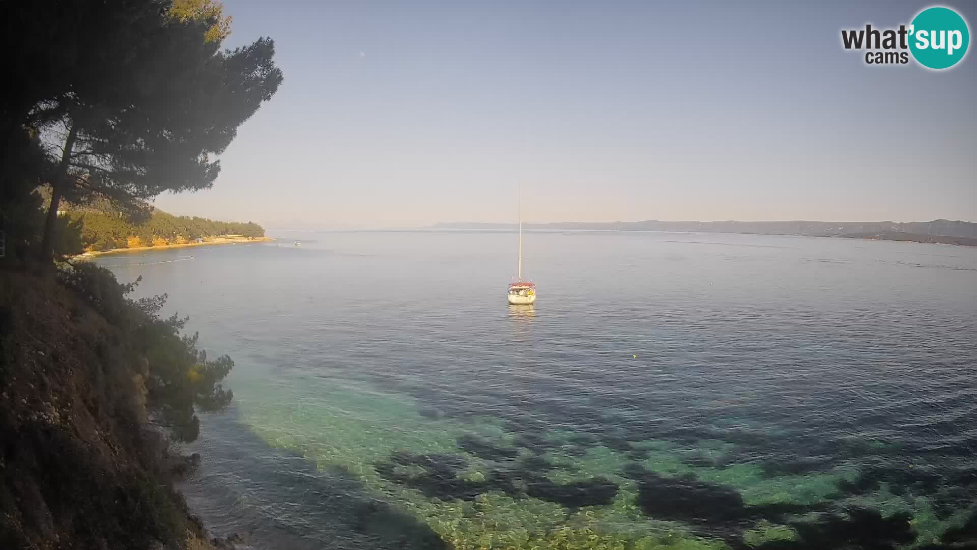 Webcam Playa Potočine Bol – Vista en vivo de Borak Beach, Isla de Brač