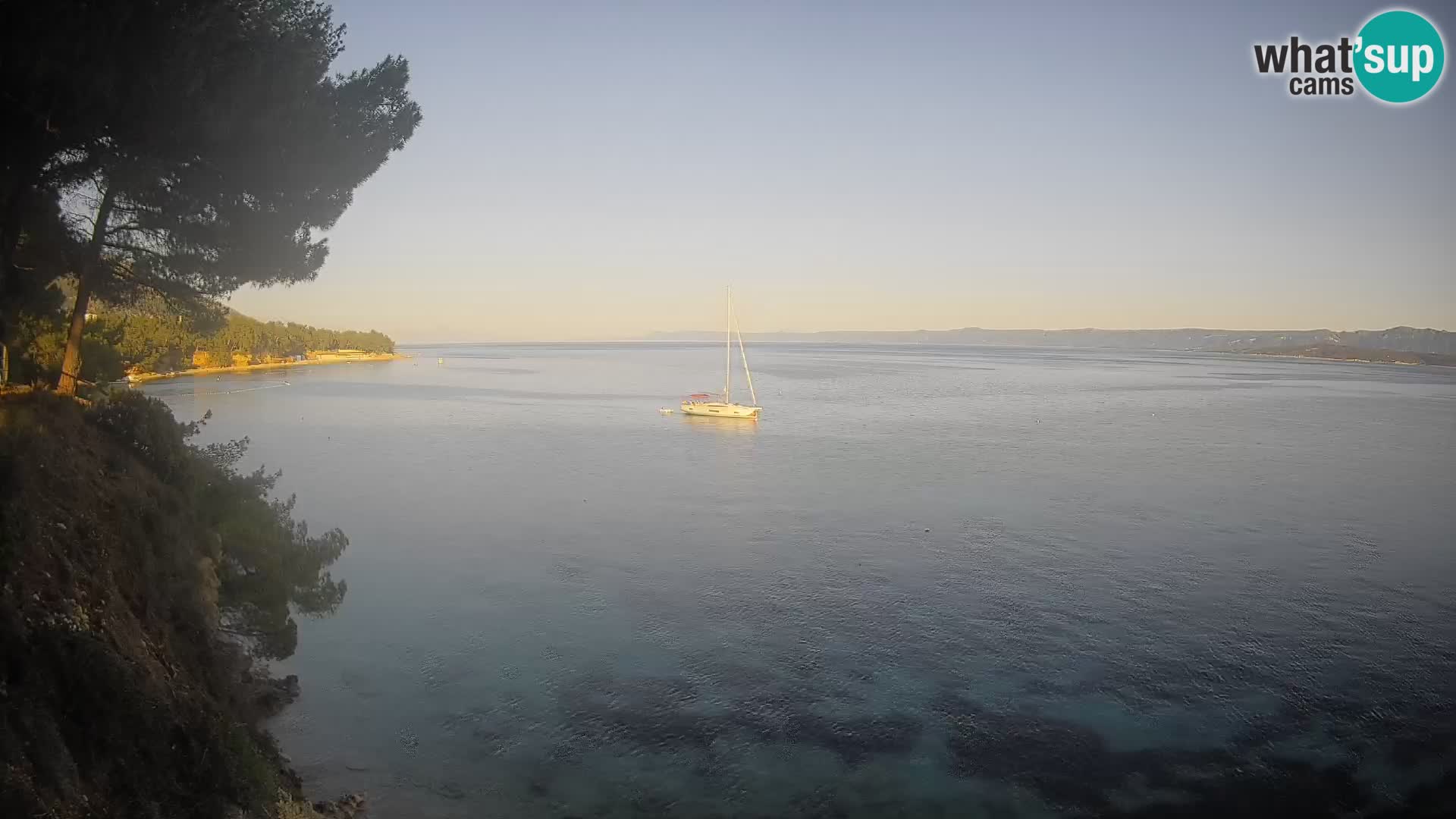Webcam Potočine Beach Bol – Live View of Borak Beach, Brač Island