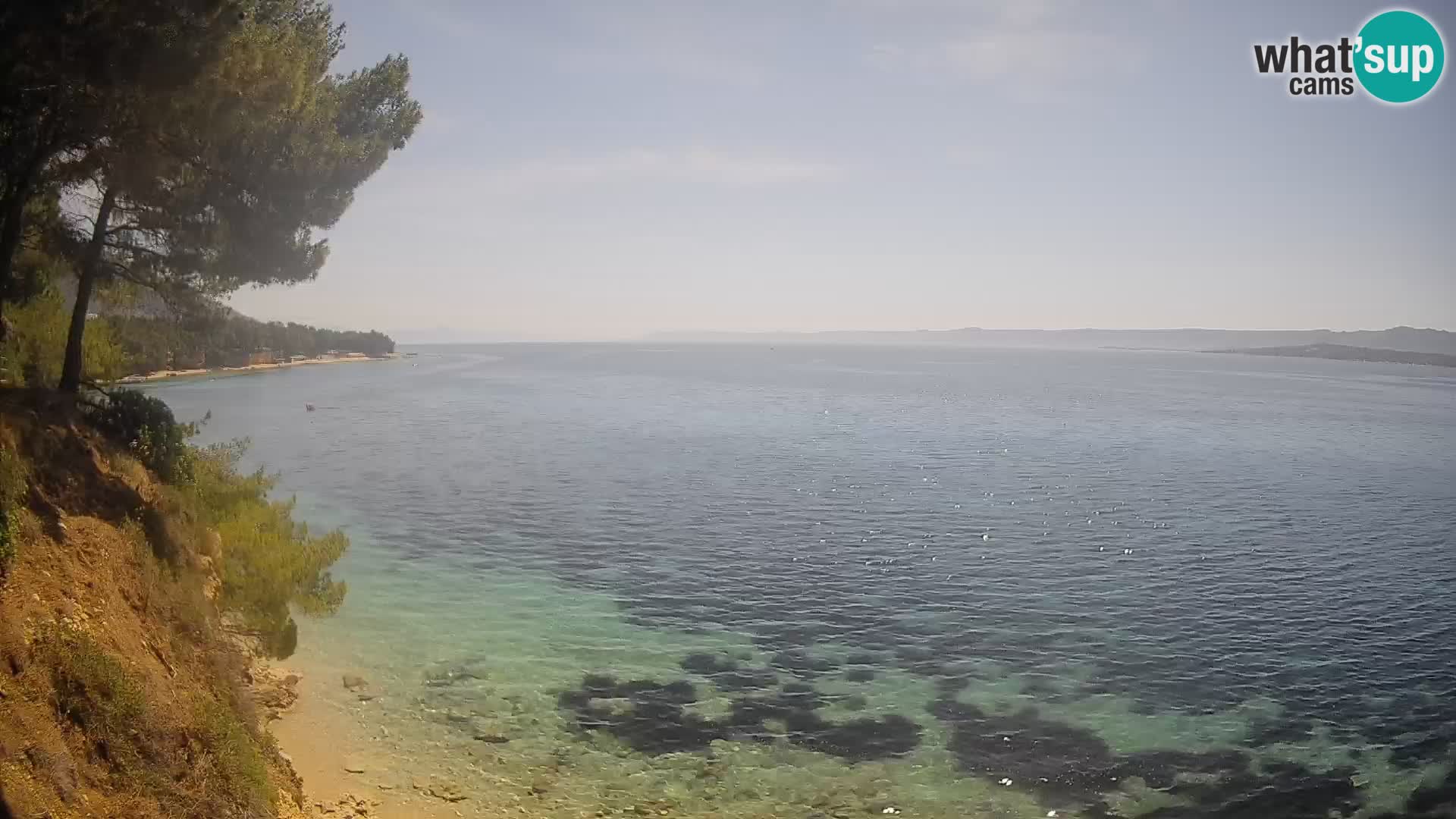 Webcam Potočine Beach Bol – Live View of Borak Beach, Brač Island