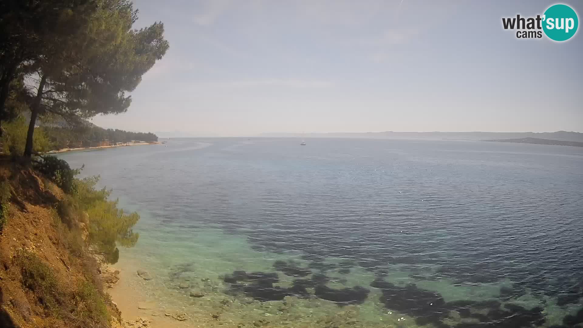 Webcam Potočine Beach Bol – Live View of Borak Beach, Brač Island