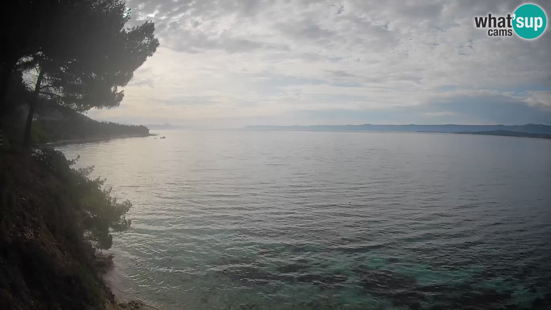 Webcam Potočine Beach Bol – Live View of Borak Beach, Brač Island