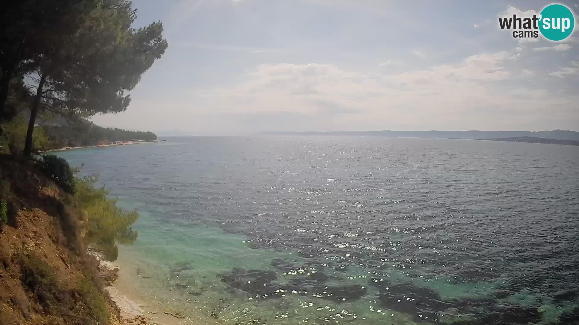 Webcam Playa Potočine Bol – Vista en vivo de Borak Beach, Isla de Brač