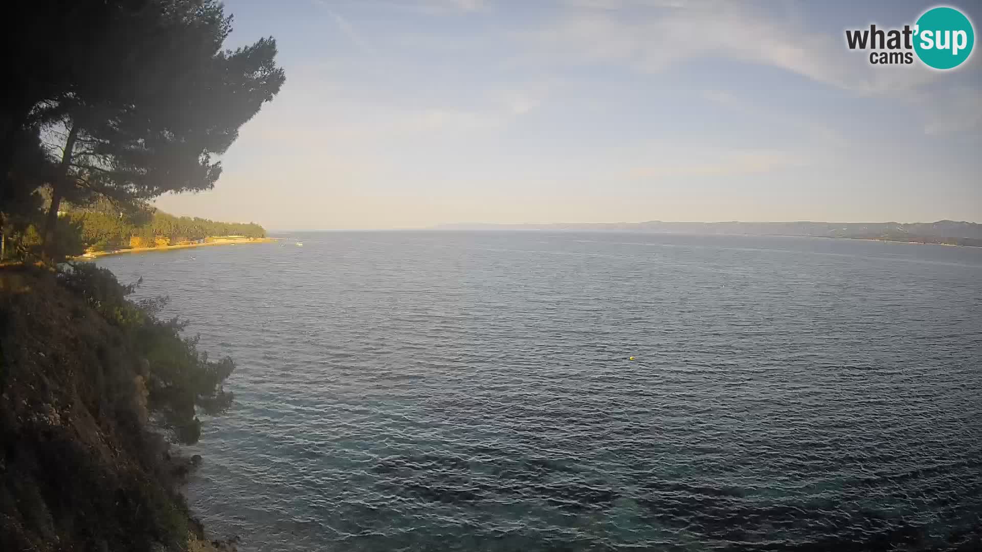 Webcam Potočine Beach Bol – Live View of Borak Beach, Brač Island