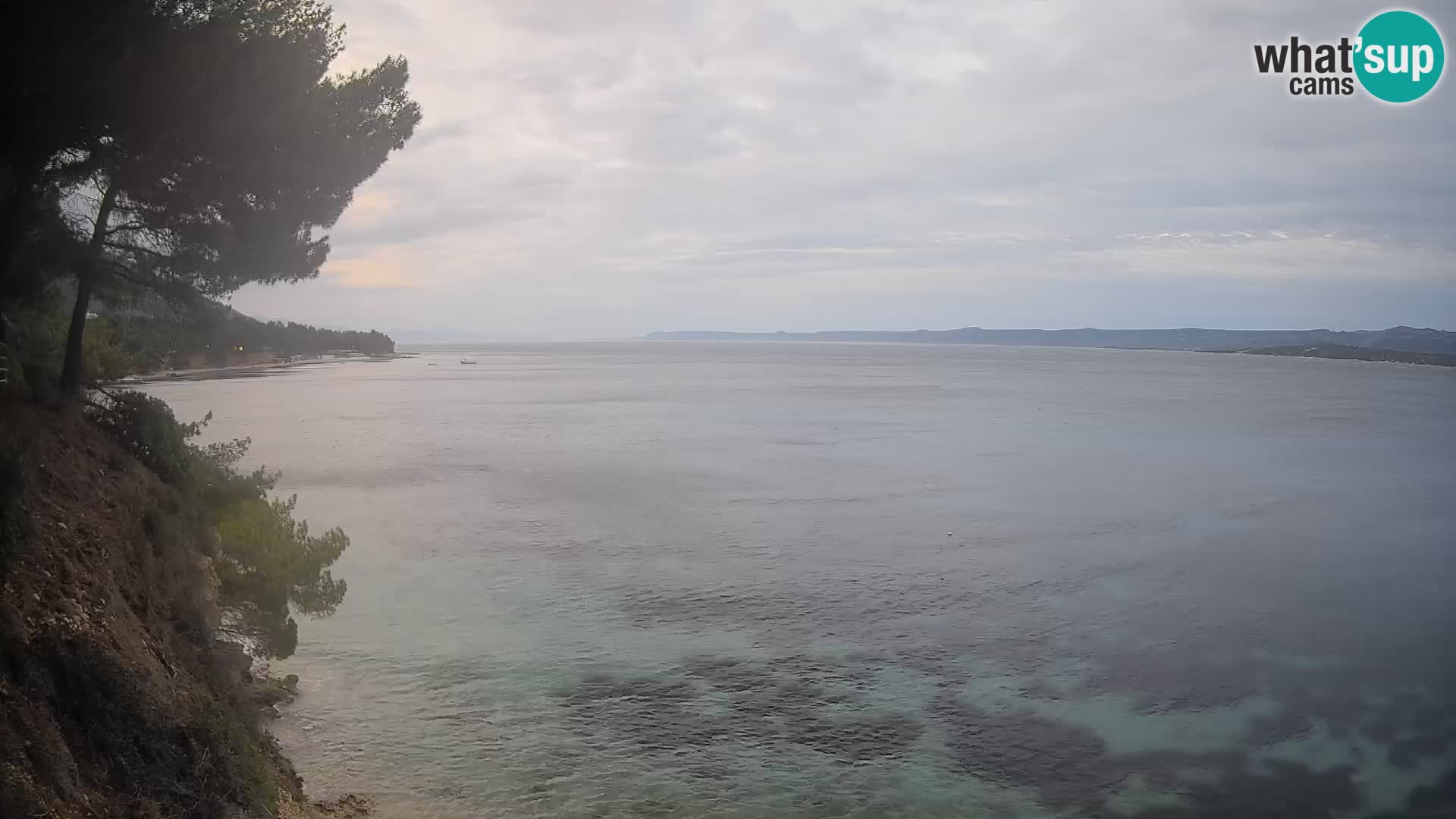 Webcam Potočine Beach Bol – Live View of Borak Beach, Brač Island