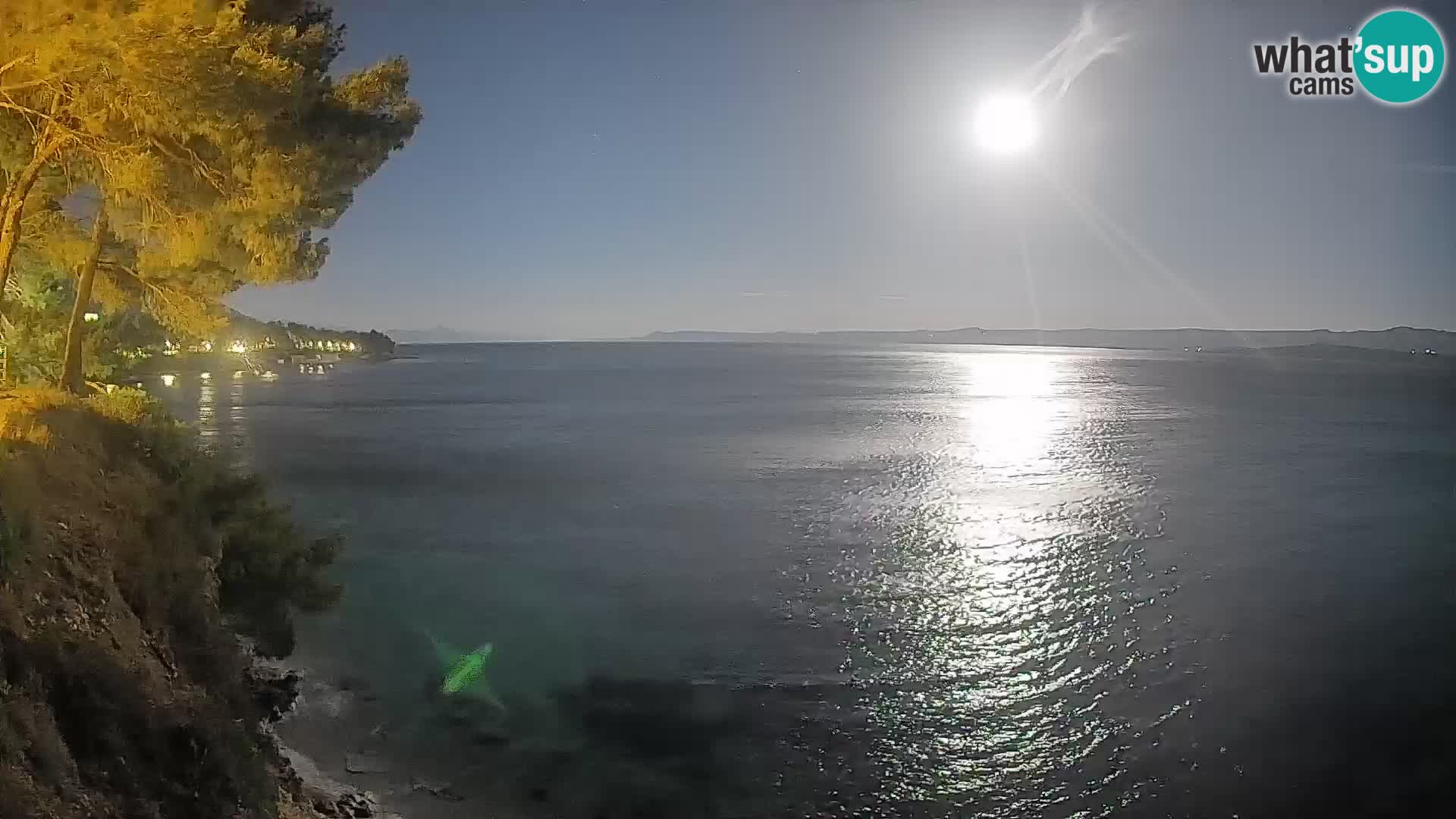 Webcam Potočine Beach Bol – Live View of Borak Beach, Brač Island