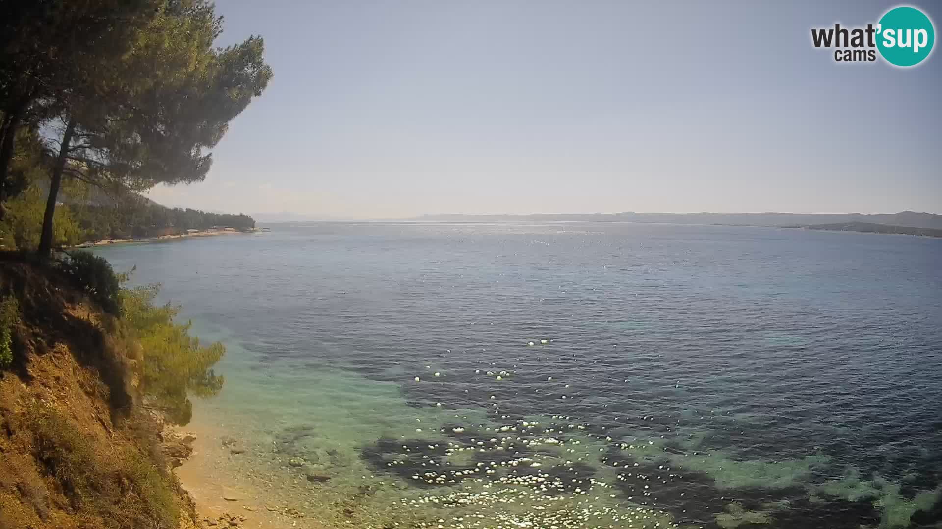 Webcam Playa Potočine Bol – Vista en vivo de Borak Beach, Isla de Brač