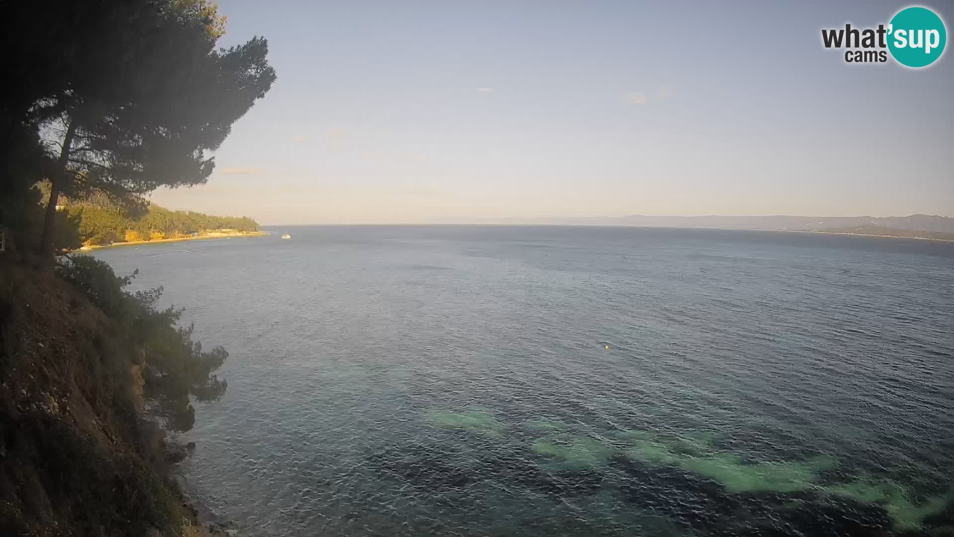 Webcam Potočine Beach Bol – Live View of Borak Beach, Brač Island