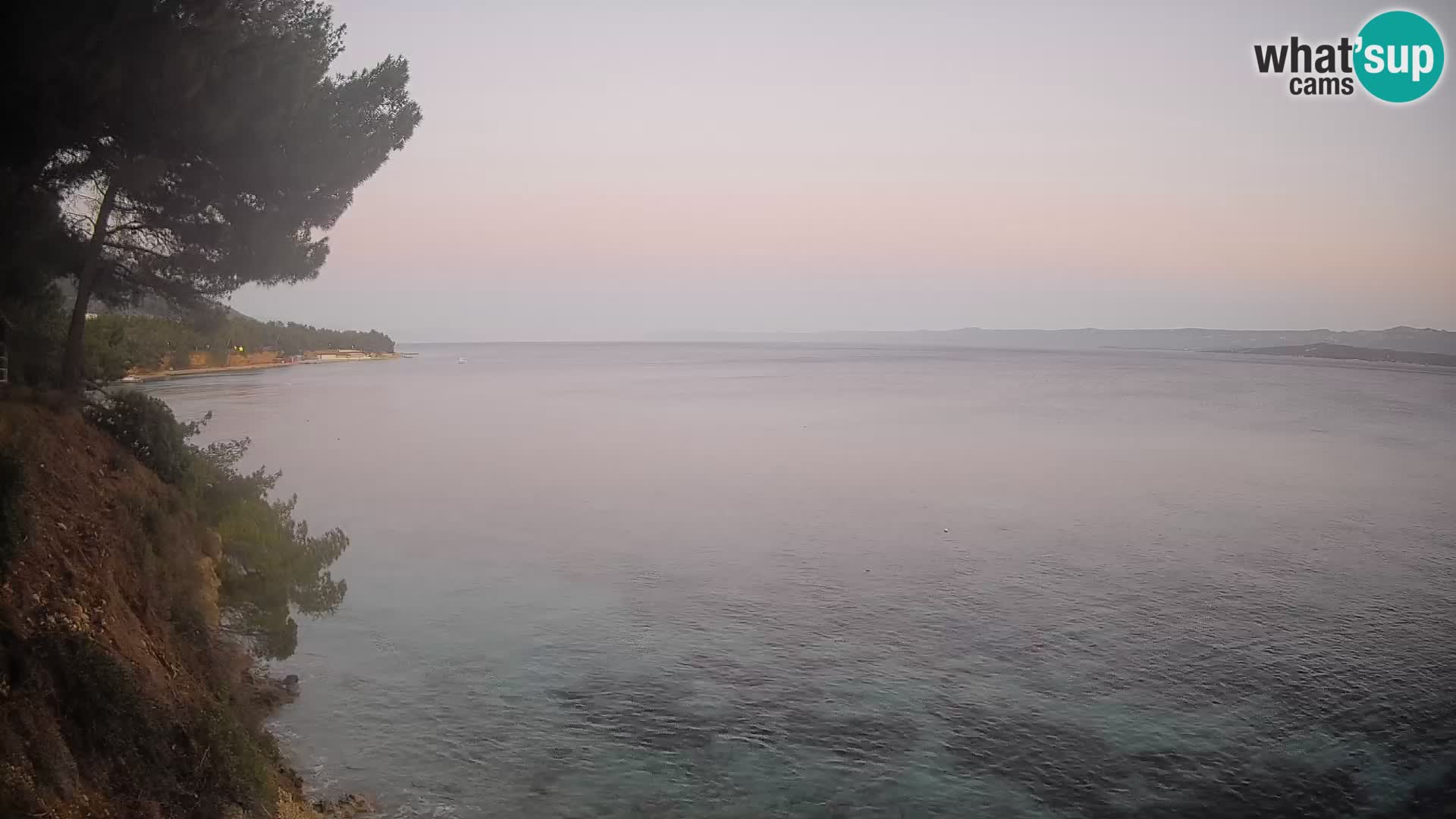Webcam Potočine Beach Bol – Live View of Borak Beach, Brač Island