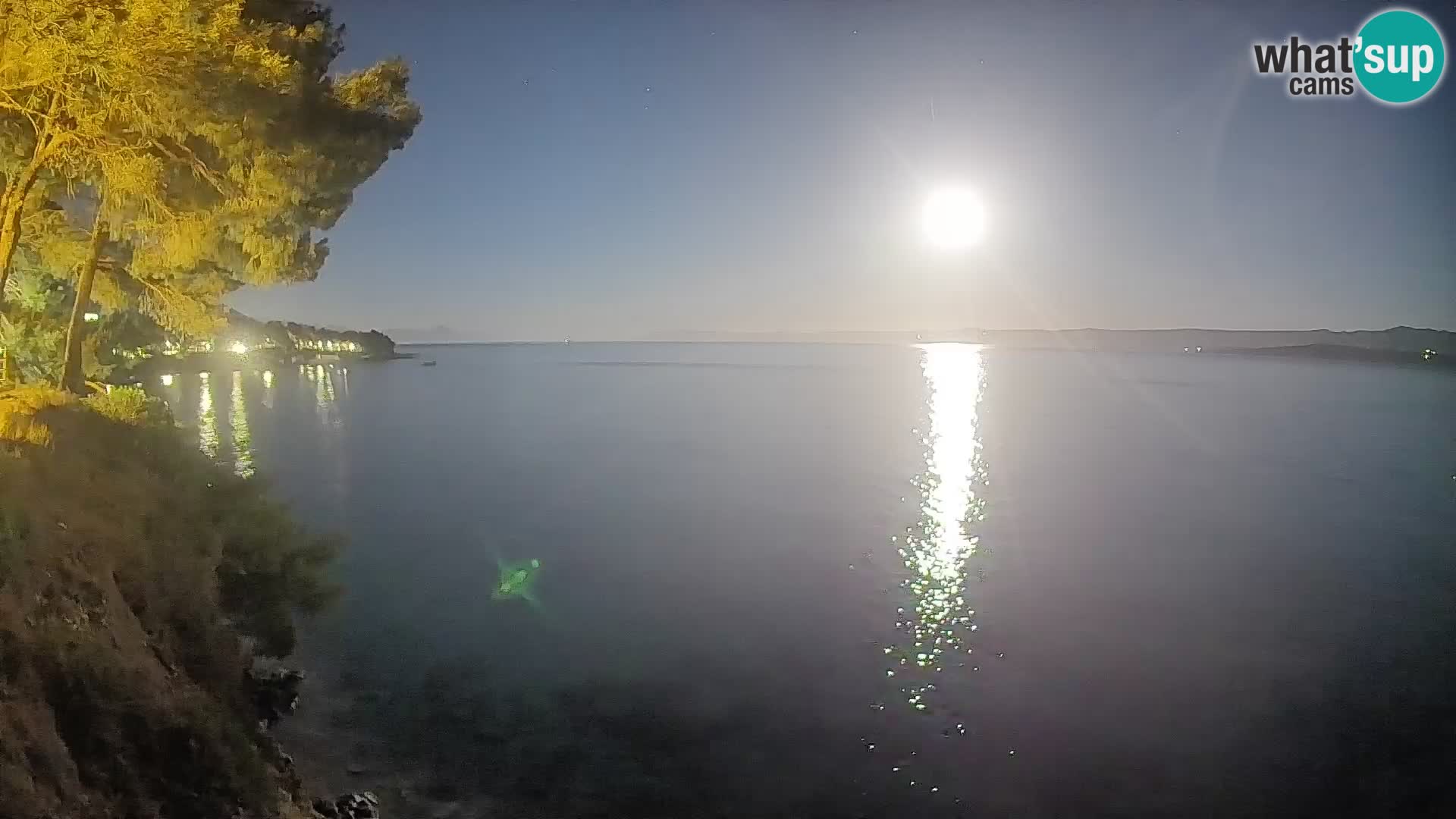 Webcam Potočine Beach Bol – Live View of Borak Beach, Brač Island