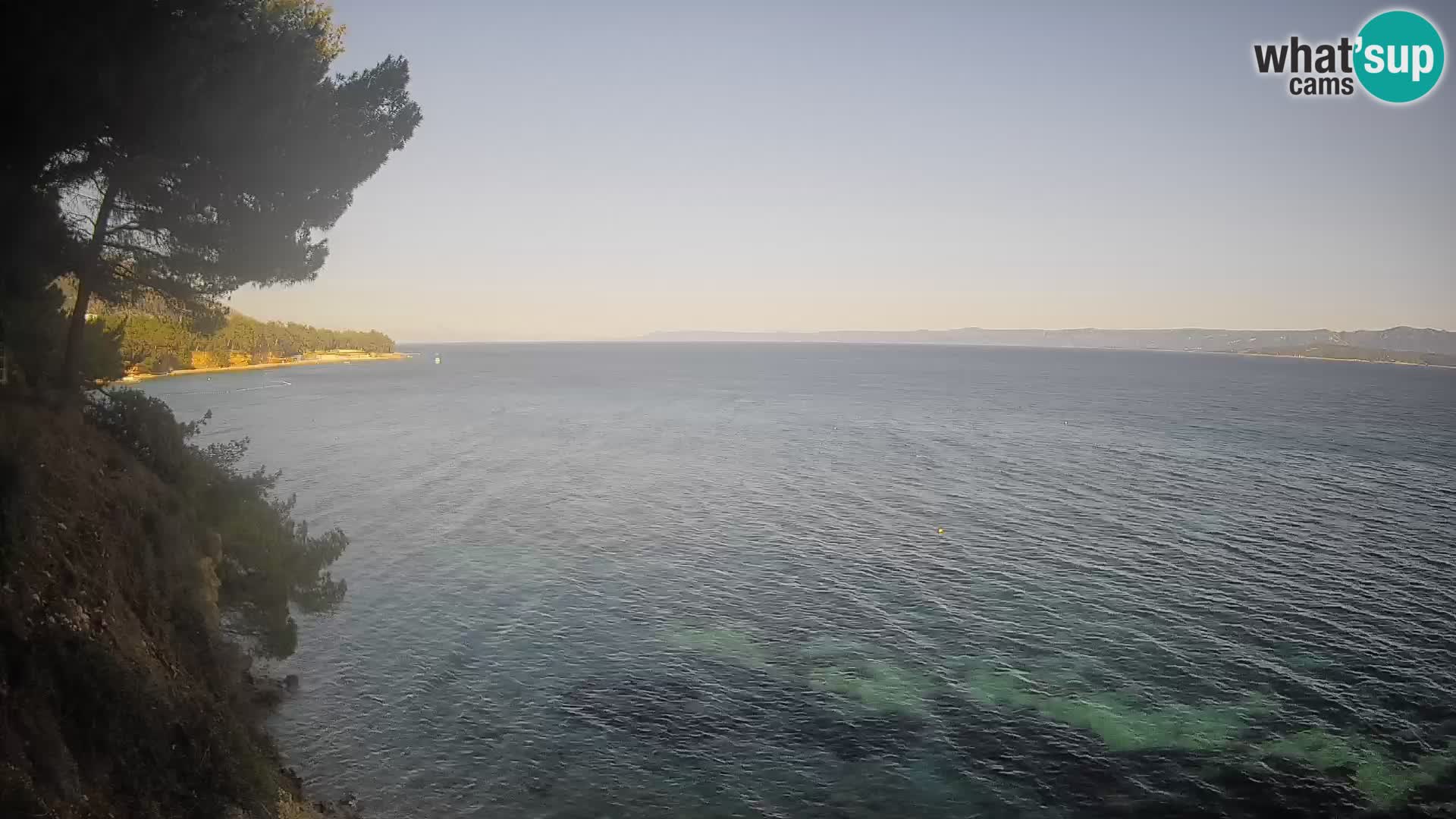 Webcam Potočine Beach Bol – Live View of Borak Beach, Brač Island