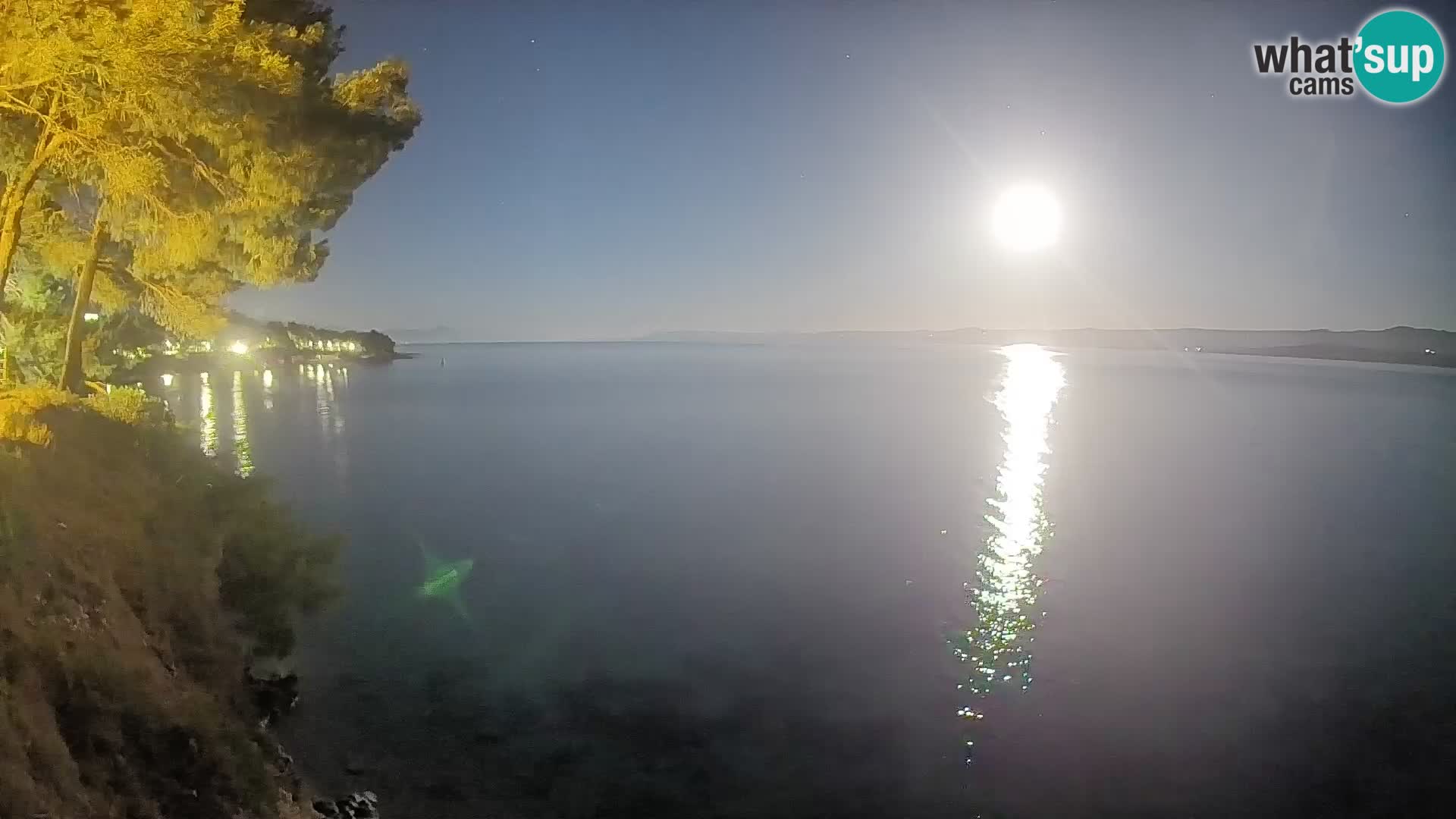 Spletna kamera Plaža Potočine Bol – Pogled v živo na plažo Borak, otok Brač
