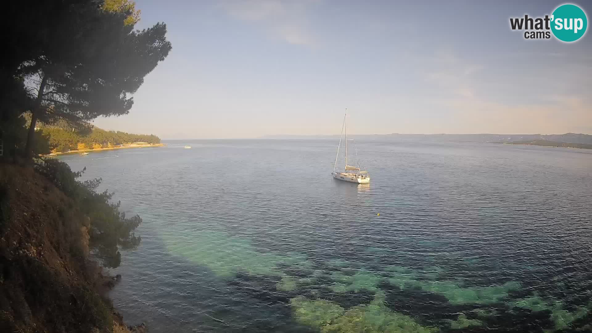 Webcam Potočine Beach Bol – Live View of Borak Beach, Brač Island