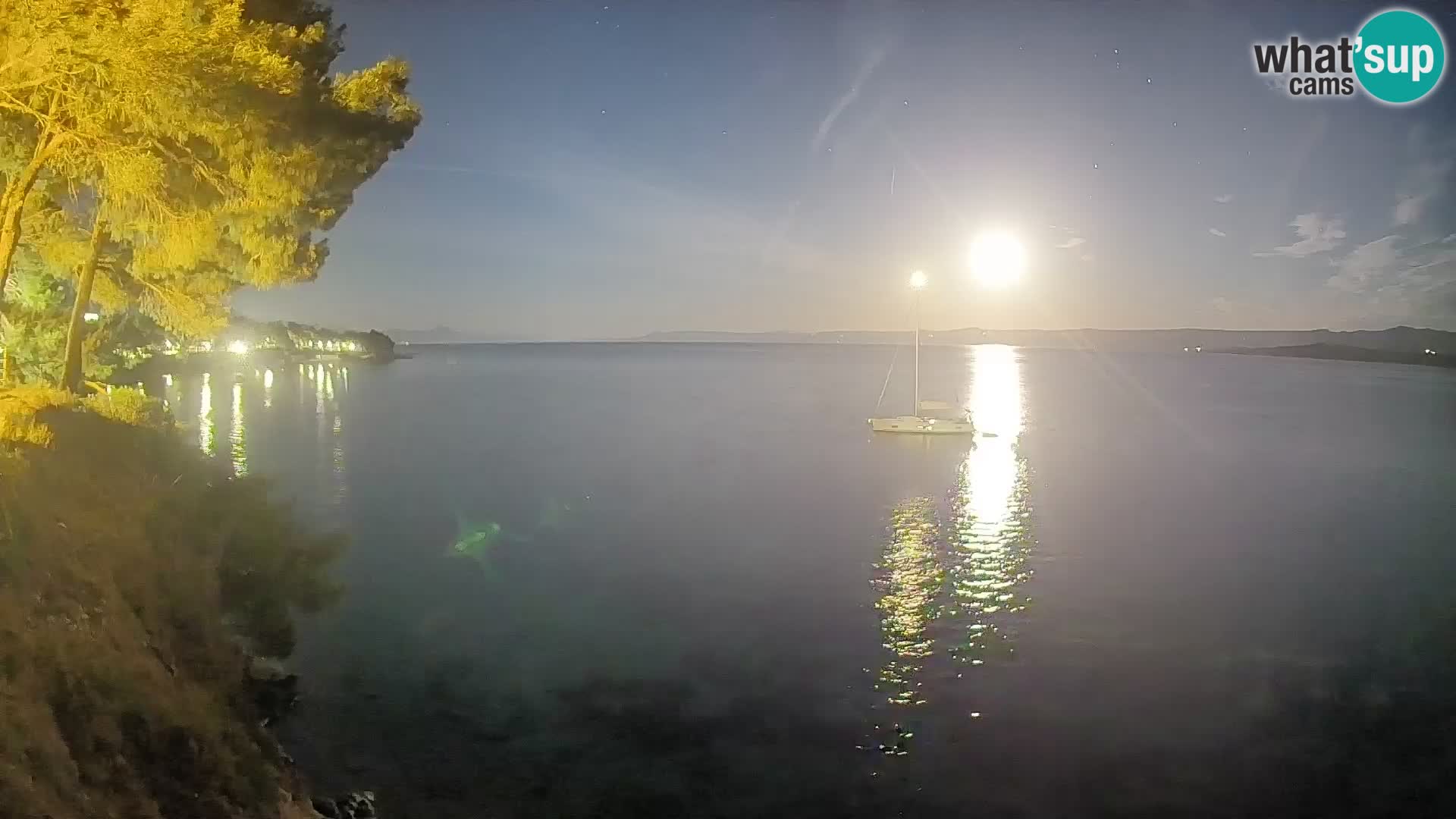 Webcam Potočine Beach Bol – Live View of Borak Beach, Brač Island