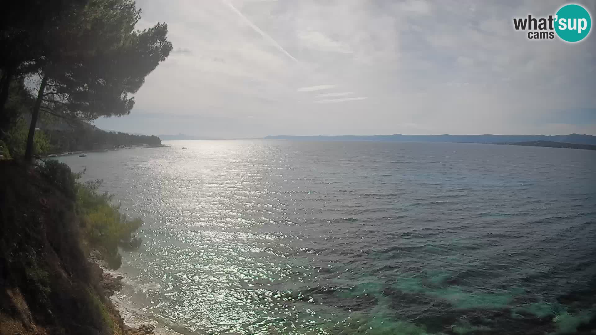 Webcam Playa Potočine Bol – Vista en vivo de Borak Beach, Isla de Brač