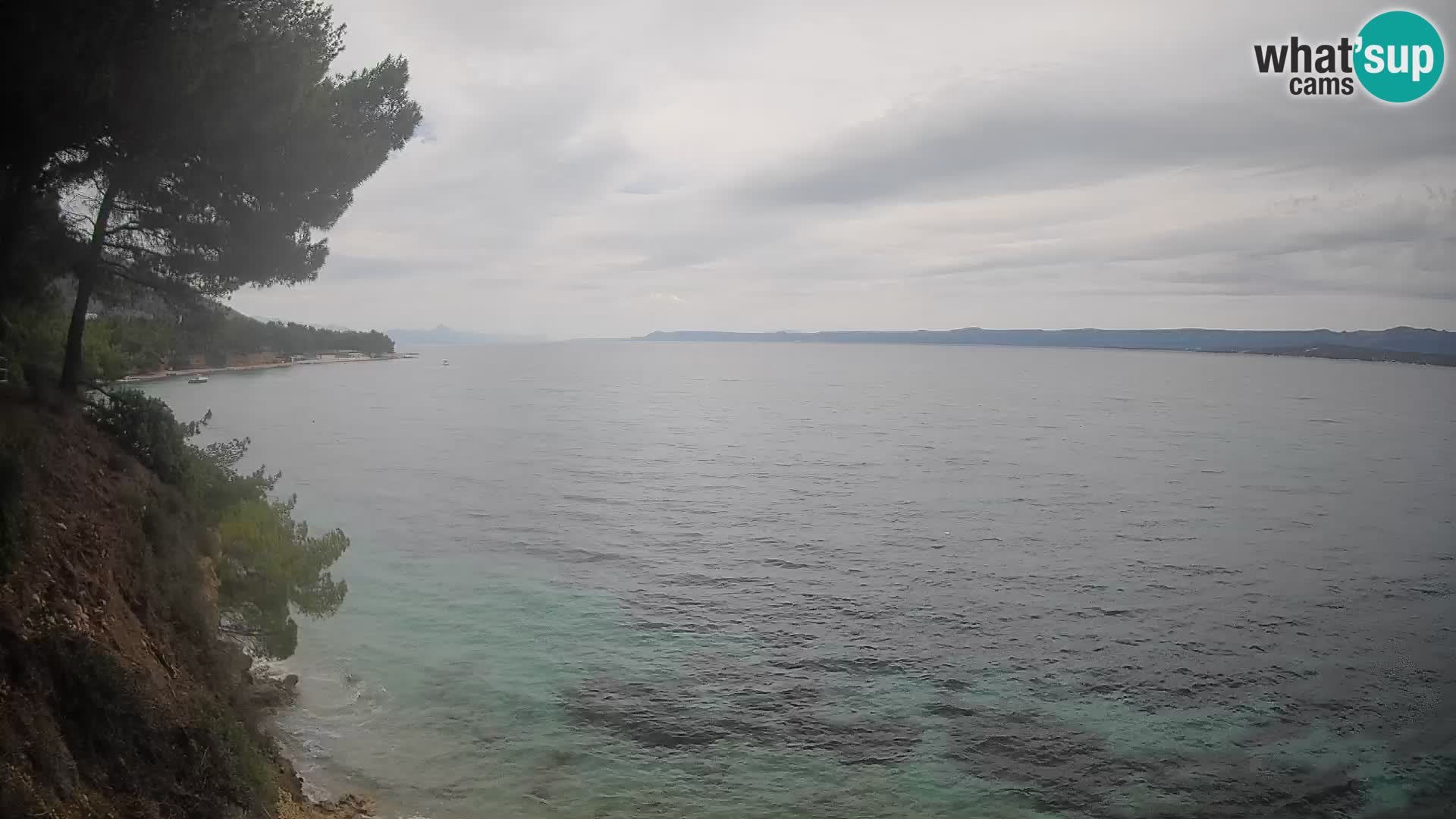 Webcam Playa Potočine Bol – Vista en vivo de Borak Beach, Isla de Brač