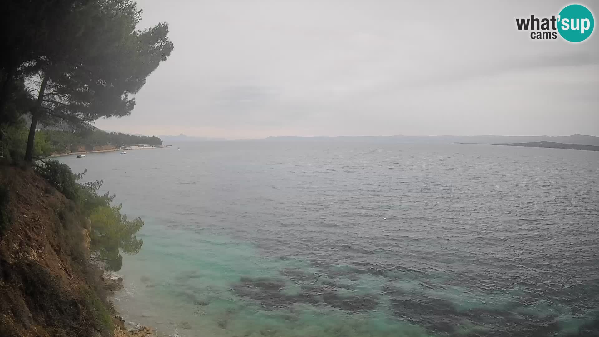 Webcam Potočine Beach Bol – Live View of Borak Beach, Brač Island