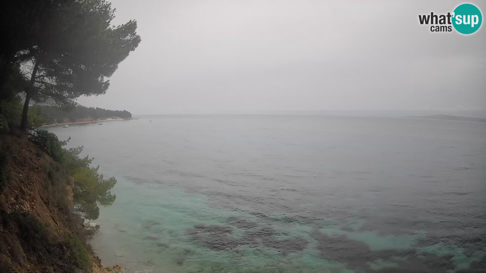 Webcam Potočine Beach Bol – Live View of Borak Beach, Brač Island