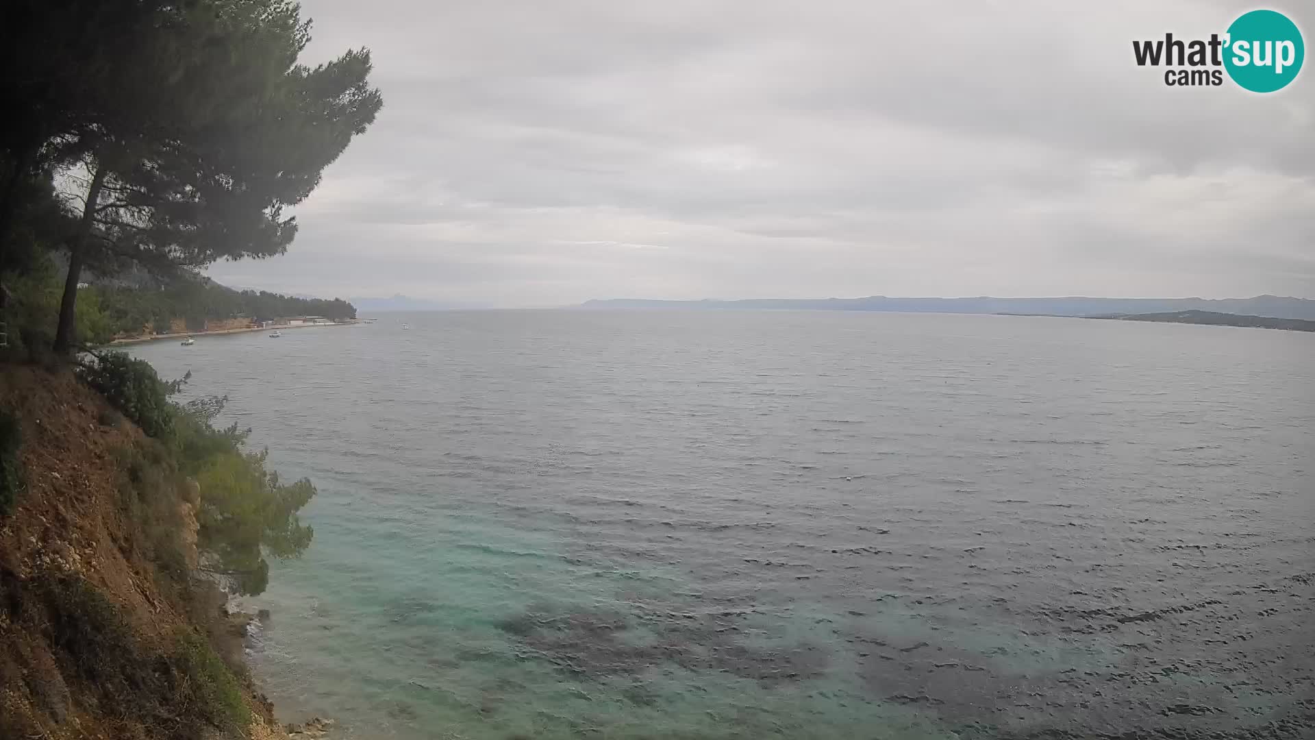 Webcam Potočine Beach Bol – Live View of Borak Beach, Brač Island