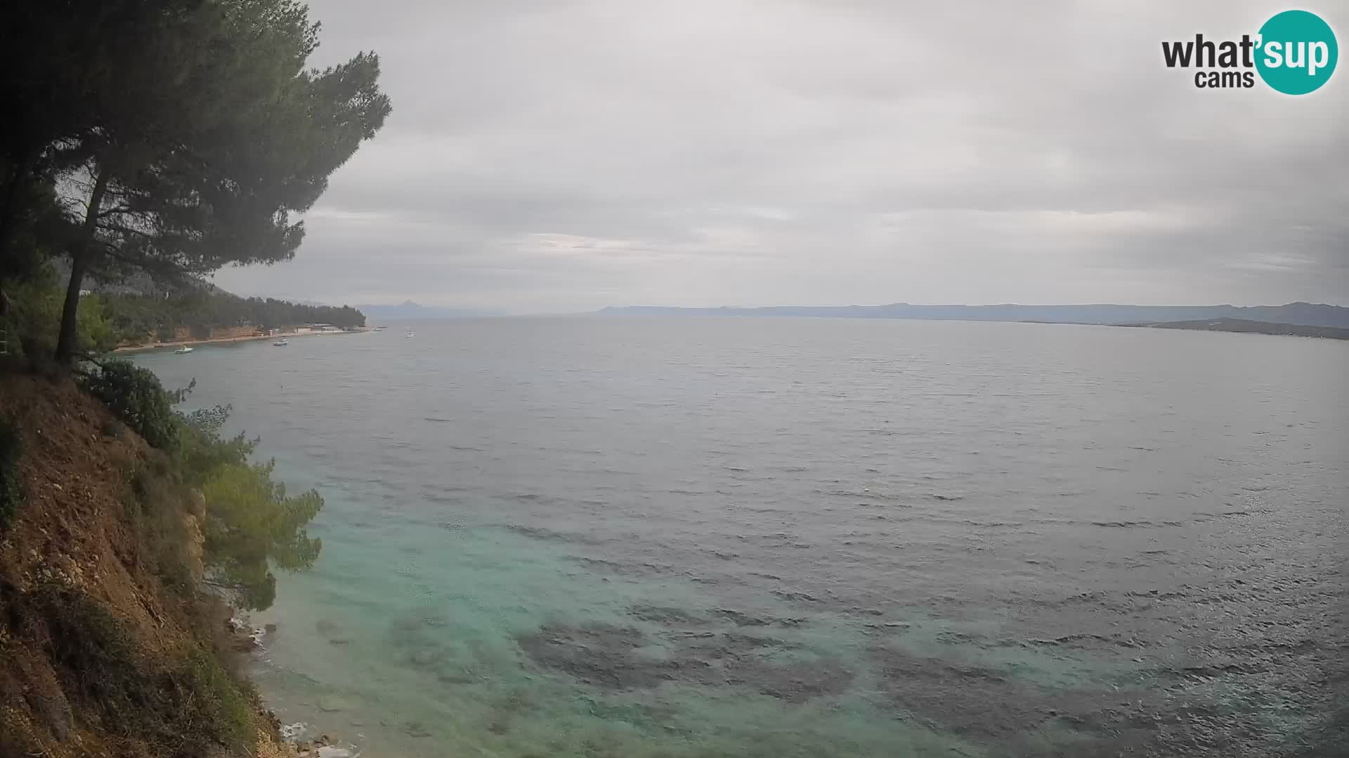 Webcam Potočine Beach Bol – Live View of Borak Beach, Brač Island