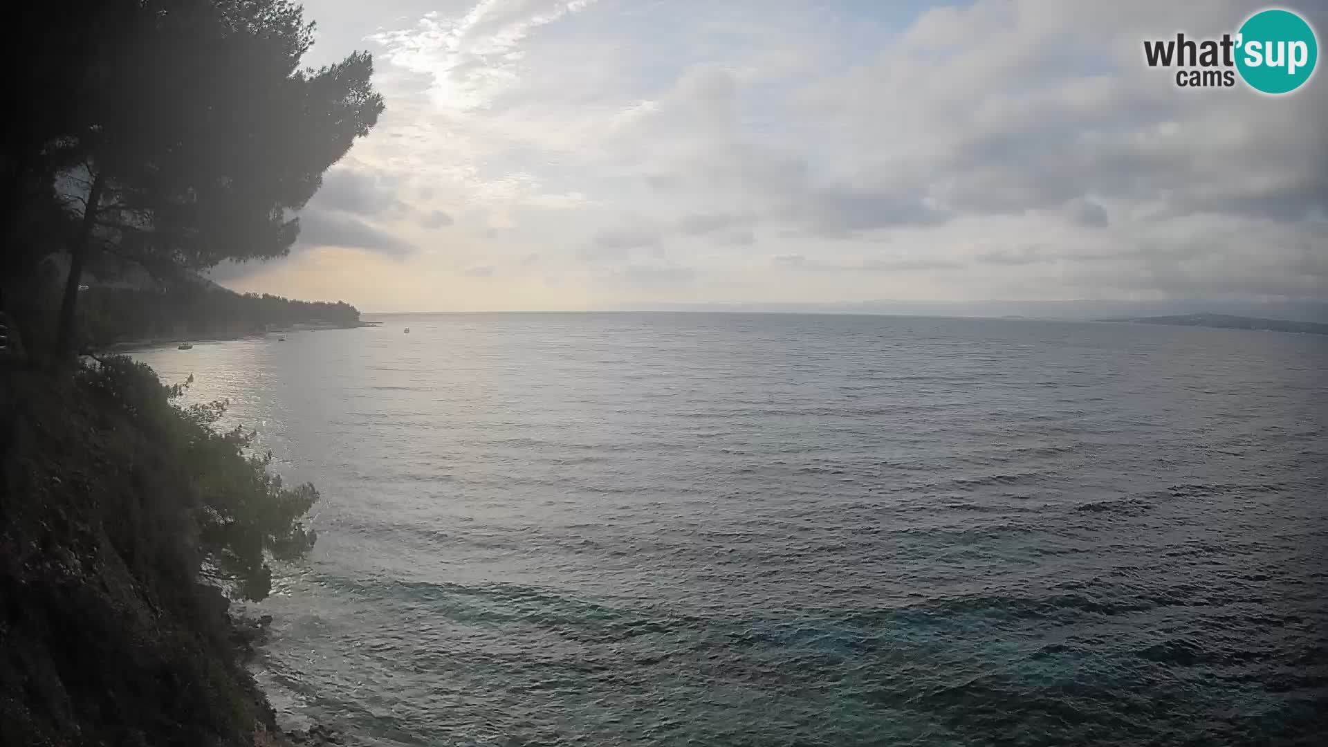 Webcam plage Potočine Bol – Vue en direct sur Borak Beach, île de Brač