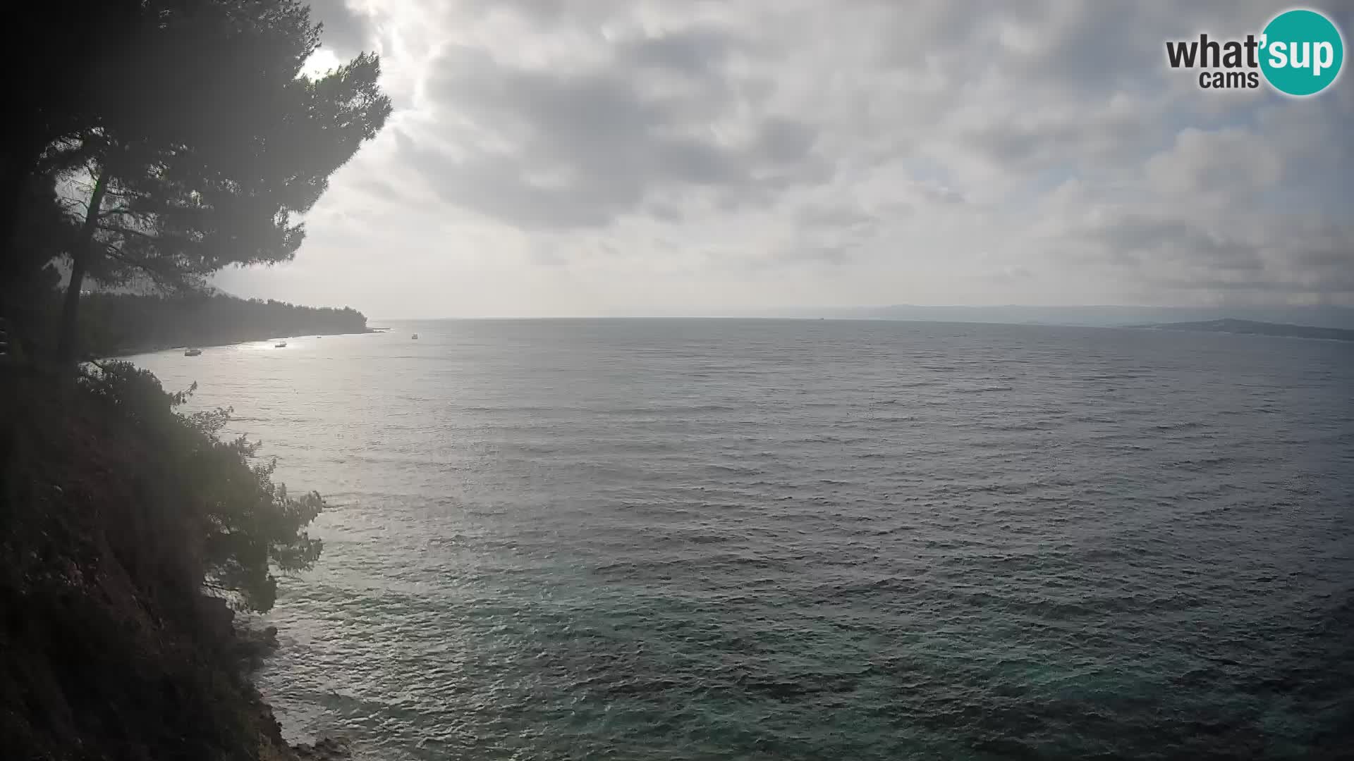Webcam Potočine Beach Bol – Live View of Borak Beach, Brač Island