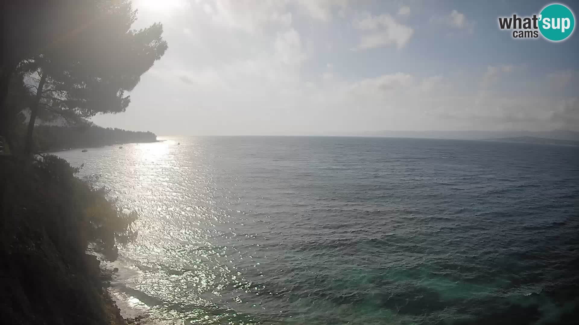 Webcam Potočine Beach Bol – Live View of Borak Beach, Brač Island
