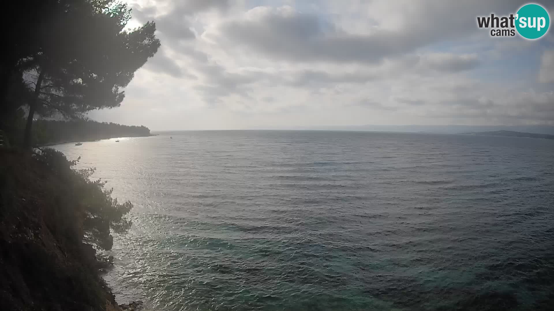 Webcam plage Potočine Bol – Vue en direct sur Borak Beach, île de Brač
