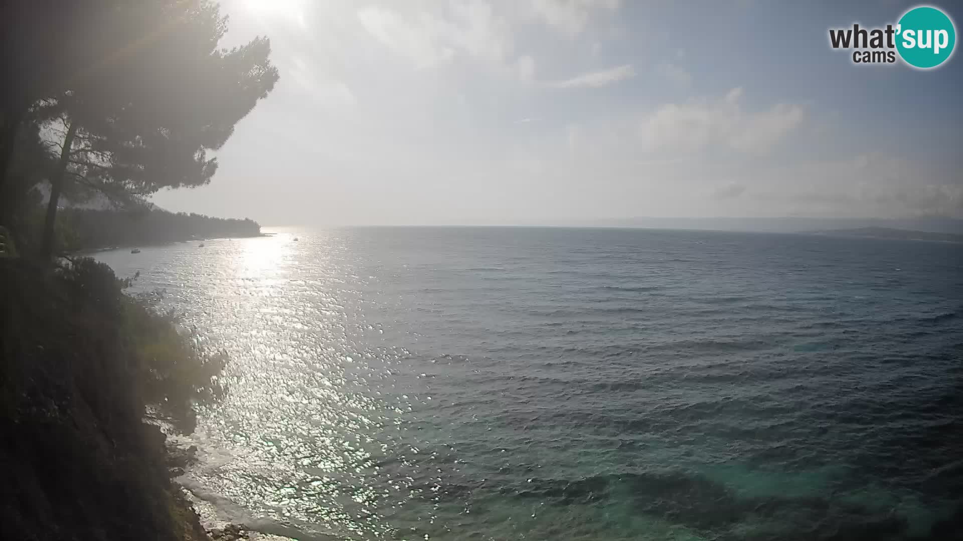 Webcam Playa Potočine Bol – Vista en vivo de Borak Beach, Isla de Brač