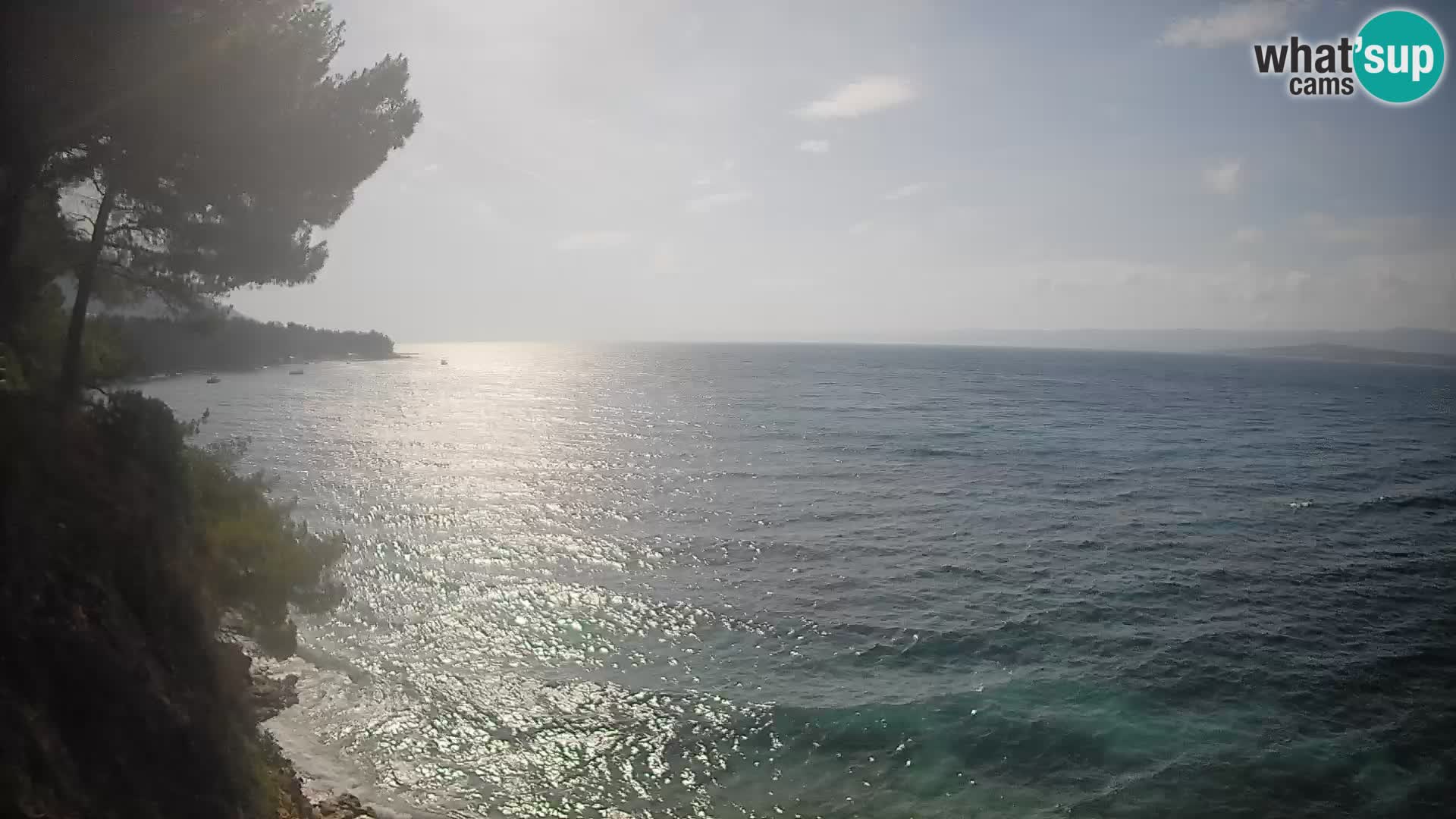 Webcam Potočine Beach Bol – Live View of Borak Beach, Brač Island