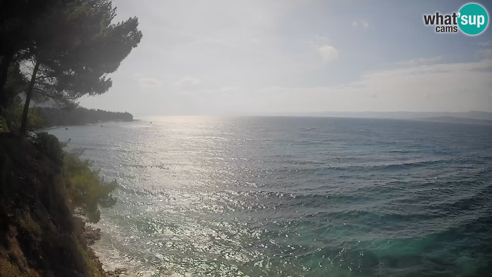 Webcam Playa Potočine Bol – Vista en vivo de Borak Beach, Isla de Brač